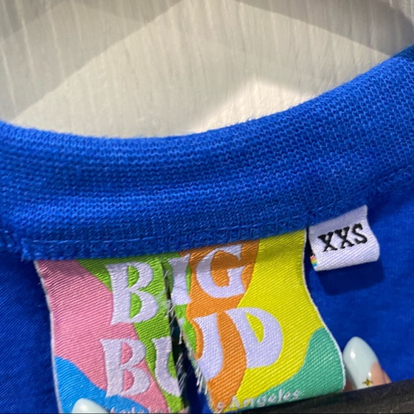 Big Bud Press Crop Top Henley in Blue - Picture 4 of 4